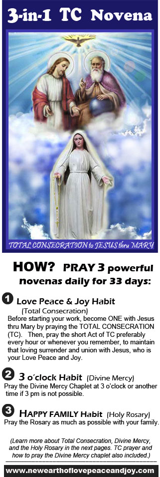 3 in 1 TC NOVENA PAMPHLET PHOTO